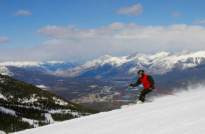 Marmot Skier 1