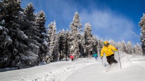 Three Skiers Kimberley Alpine Resort