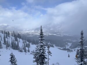 232949F1 DACE 4630 9A1A 0084E7691599 1 105 c