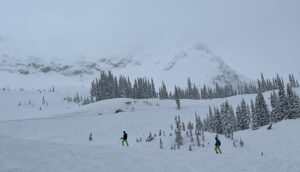 7F9313F7 4B38 4E53 99BE 947ECD3BCEC2 1 105 c e1709584072703