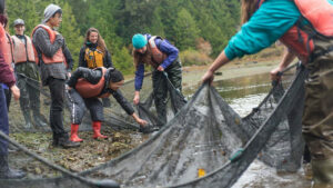 Education 02 Bamfield Marine Sciences Centre Credit Bamfield Marine Sciences Centre