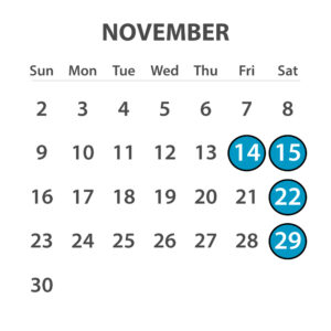 Daybus Schedule 2025 26 NOVEMBER